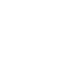 Safety and Security Icon