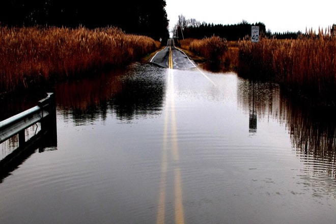 Flooded Tree Lined Road 