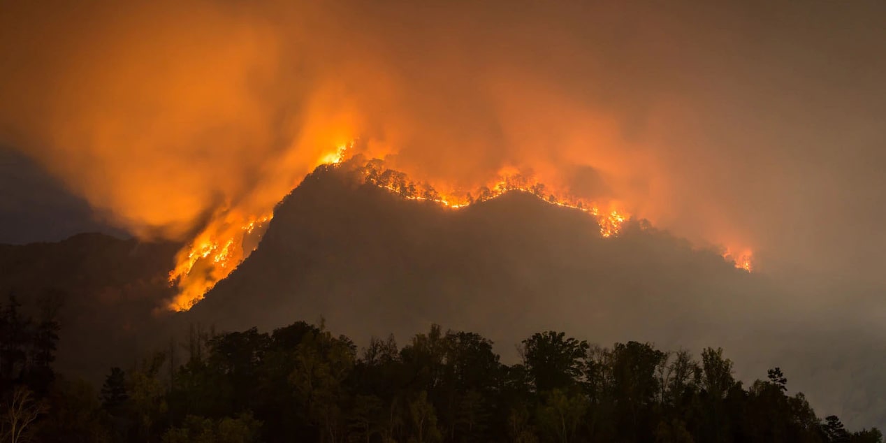 Wildfire Raging Through Mountains and Trees